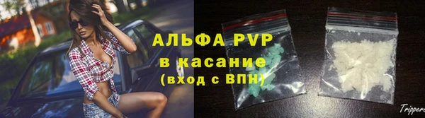 СК Арсеньев