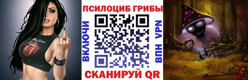 продажа наркотиков  Пугачёв  Галлюциногенные грибы ЛСД 